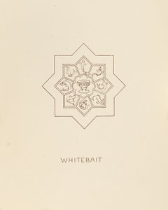 Whitebait, 1878